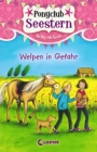 Ponyclub Seestern (Band 4) - Welpen in Gefahr - eBook