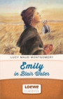 Emily in Blair Water - eBook