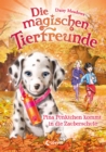 Die magischen Tierfreunde (Band 15) - Pina Punktchen kommt in die Zauberschule : Erstlesebuch mit suen Tieren ab 7 Jahren - eBook