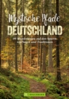 Mystische Pfade Deutschland : 99 Wanderungen auf den Spuren von Sagen und Traditionen - eBook