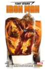 Tony Stark: Iron Man 2 - Identitatskrise - eBook