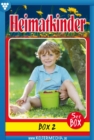 E-Book 6-10 : Heimatkinder Box 2 - Heimatroman - eBook