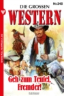 Geh zum Teufel, Fremder! : Die groen Western 245 - eBook