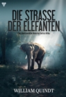 Eine abenteuerliche Reise ins tiefste Afrika : Die Strae der Elefanten 1 - Abenteuerroman - eBook