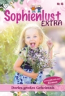 Dorles groes Geheimnis : Sophienlust Extra 15 - Familienroman - eBook