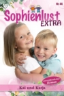 Kai und Katja : Sophienlust Extra 44 - Familienroman - eBook