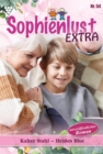 Kalte Stahl - Heies Blut : Sophienlust Extra 54 - Familienroman - eBook