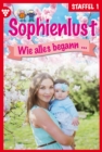 E-Book 1-10 : Sophienlust, wie alles begann Staffel 1 - Familienroman - eBook