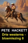 Drie westerns - bloemlezing 8 - eBook