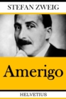 Amerigo : Die Geschichte eines historischen Irrtums - eBook
