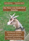 Die Tiere vom Gnadenhof Eiweiler : Von Pferde-Schafen, Gefangnis-Ziegen und auergewohnlichen Tierfreundschaften - eBook