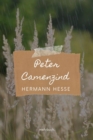 Peter Camenzind - eBook