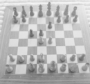 Prinzipien des Schachspiels - eBook