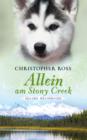 Alaska Wilderness - Allein am Stony Creek (Bd. 3) - eBook