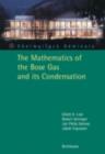 The Mathematics of the Bose Gas and its Condensation - eBook
