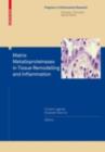 Matrix Metalloproteinases in Tissue Remodelling and Inflammation - eBook