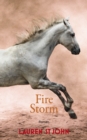 Fire Storm - eBook