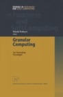 Granular Computing : An Emerging Paradigm - eBook