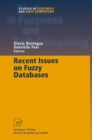 Recent Issues on Fuzzy Databases - eBook