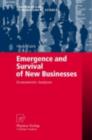 Emergence and Survival of New Businesses : Econometric Analyses - eBook