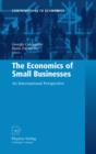 The Economics of Small Businesses : An International Perspective - eBook