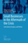 Small Businesses in the Aftermath of the Crisis : International Analyses and Policies - eBook
