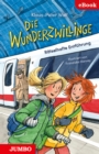 Die Wunderzwillinge. Ratselhafte Entfuhrung - eBook