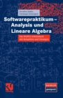 Softwarepraktikum - Analysis und Lineare Algebra : Ein MAPLE-Arbeitsbuch mit vielen Beispielen und Losungen - eBook