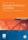 Statistik-Praktikum mit Excel : Grundlegende quantitative Analysen realistischer Wirtschaftsdaten mit vollstandigen Losungen - eBook