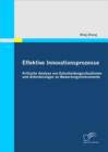 Effektive Innovationsprozesse - Kritische Analyse von Entscheidungssituationen und Anforderungen an Bewertungsinstrumente - eBook