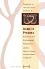 Islam in Process : Historical and Civilizational Perspectives (Yearbook of the Sociology of Islam 7) - eBook