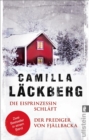 Die Eisprinzessin schlaft / Der Prediger von Fjallbacka : Band 1 und 2: Zwei Bestseller in einem E-Book - eBook