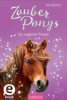 Zauberponys - Ein magischer Freund - eBook