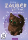Zauberkatzchen - Ein magischer Moment - eBook
