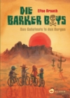 Die Barker Boys. Band 1: Das Geheimnis in den Bergen - eBook