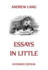 Essays In Little - eBook