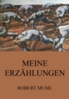 Meine Erzahlungen - eBook