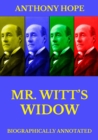 Mr Witt's Widow - eBook