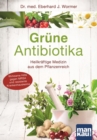 Grune Antibiotika : Heilkraftige Medizin aus dem Pflanzenreich. Wirksame Hilfe gegen MRSA und resistente Krankenhauskeime - eBook