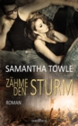 Zahme den Sturm - eBook