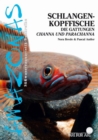 Schlangenkopffische : Die Gattungen Channa und Parachanna - eBook
