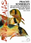 Prachtschmerlen : Chromobotia macracanthus und weitere beliebte Arten - eBook