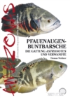 Pfauenaugenbuntbarsche : Die Gattung Astronotus und Verwandte - eBook