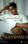 Gay Romeo - eBook