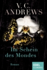 Im Schein des Mondes : Roman - eBook