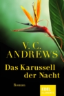 Das Karussell der Nacht - eBook