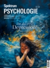Spektrum Psychologie 2/2024 - Ist das eine Depression? : Die Ursachen eines Tiefs erkennen - eBook