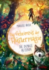 Das Geheimnis der Flustermagie (Band 3) - Die dunkle Huterin : Fantastisches Kinderbuch ab 10 fur Madchen uber magische Tiere und die erste Liebe - eBook