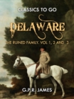 Delaware; or, The Ruined Family. Vol.1,2 And 3 - eBook
