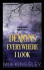 Demons Everywhere I Look - eBook